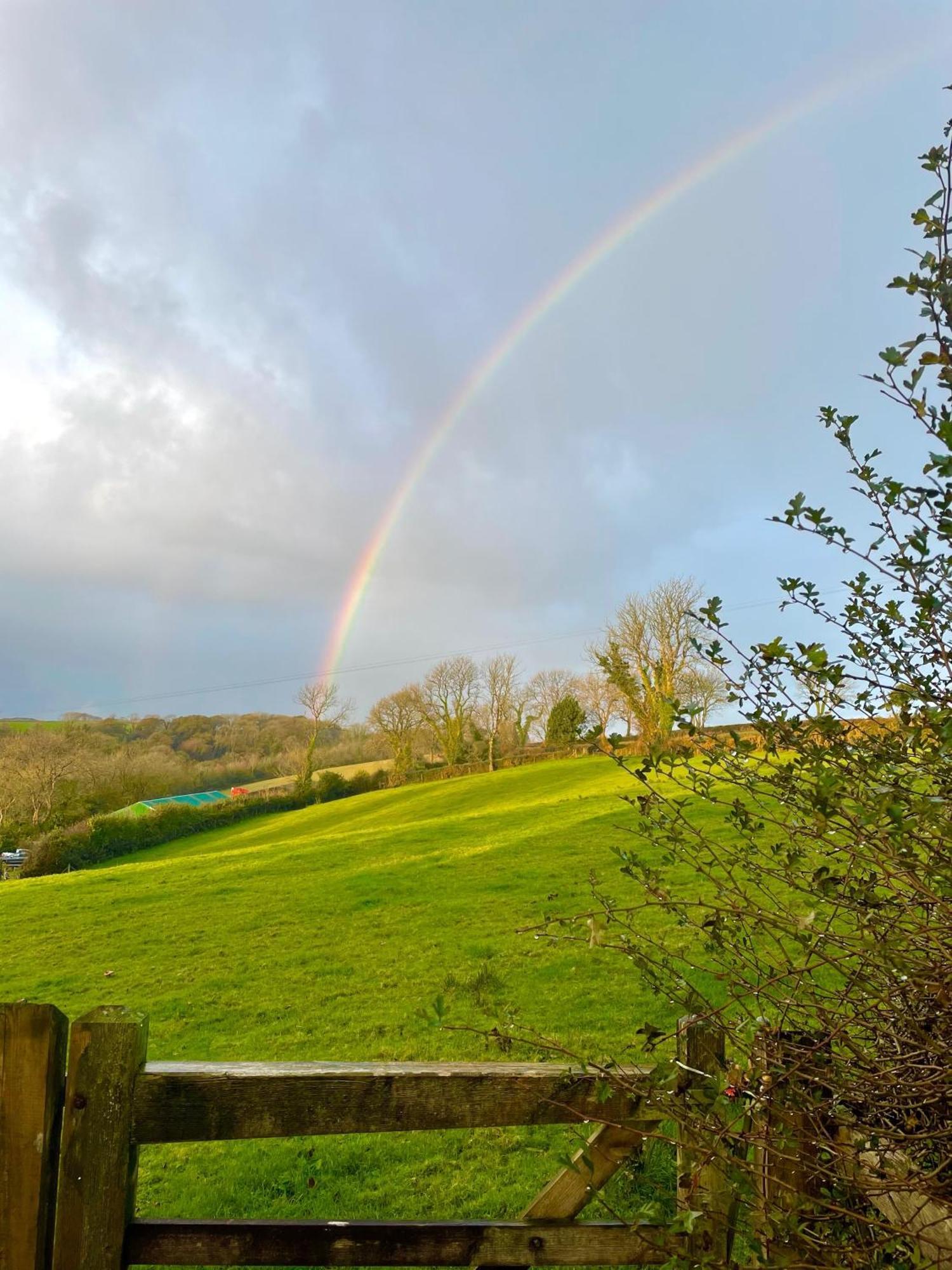 Stable Cottage Narberth Exterior foto